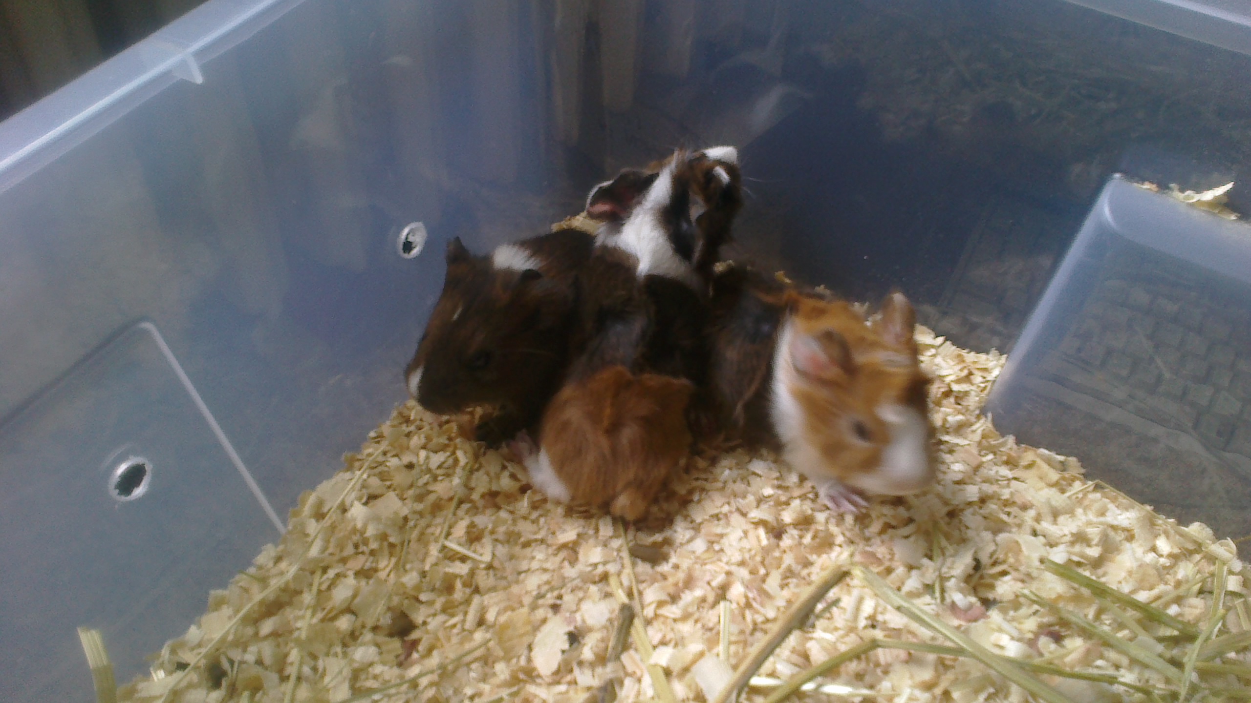 2014-05-12-1170