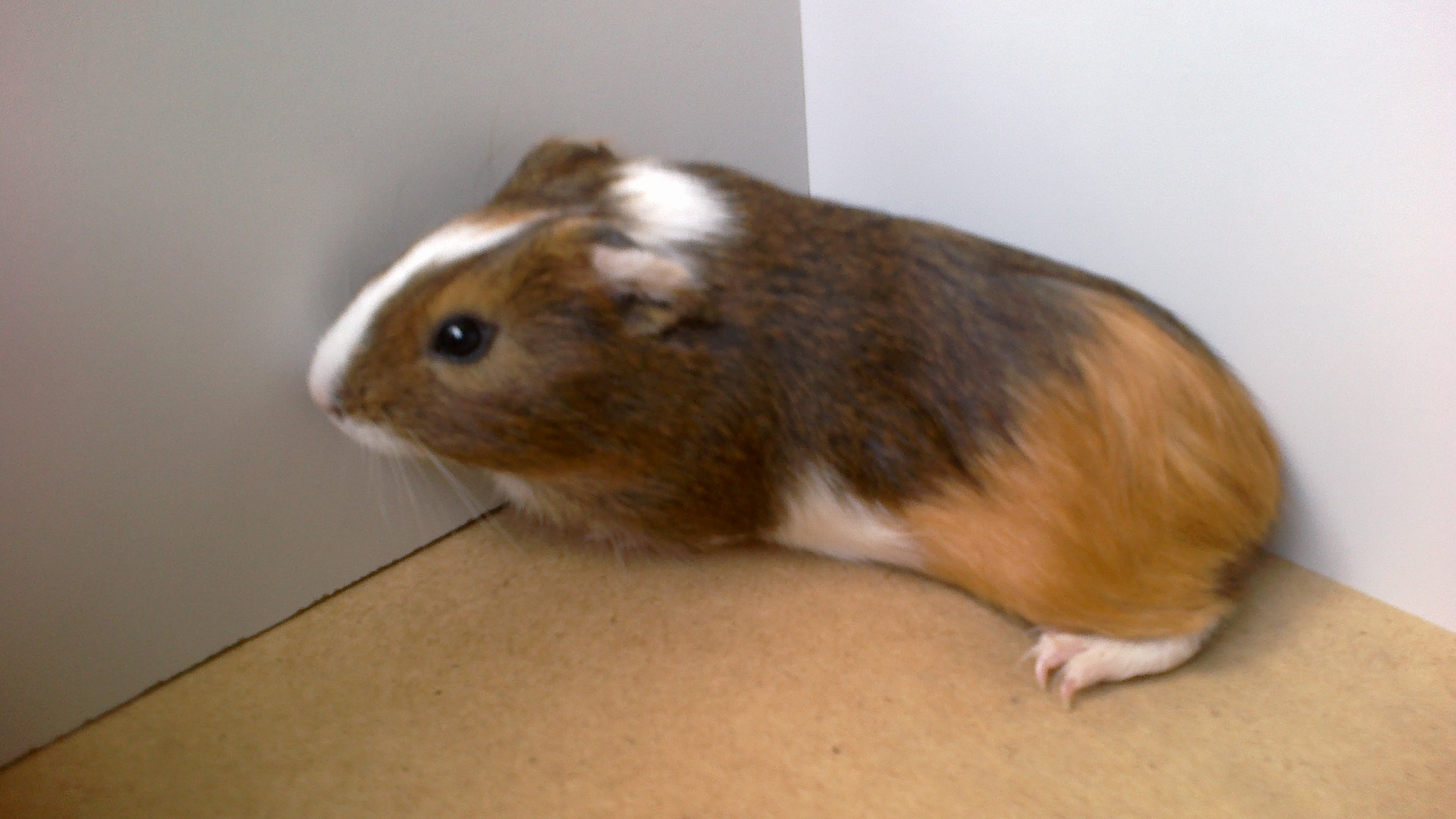 2014-07-12-1308