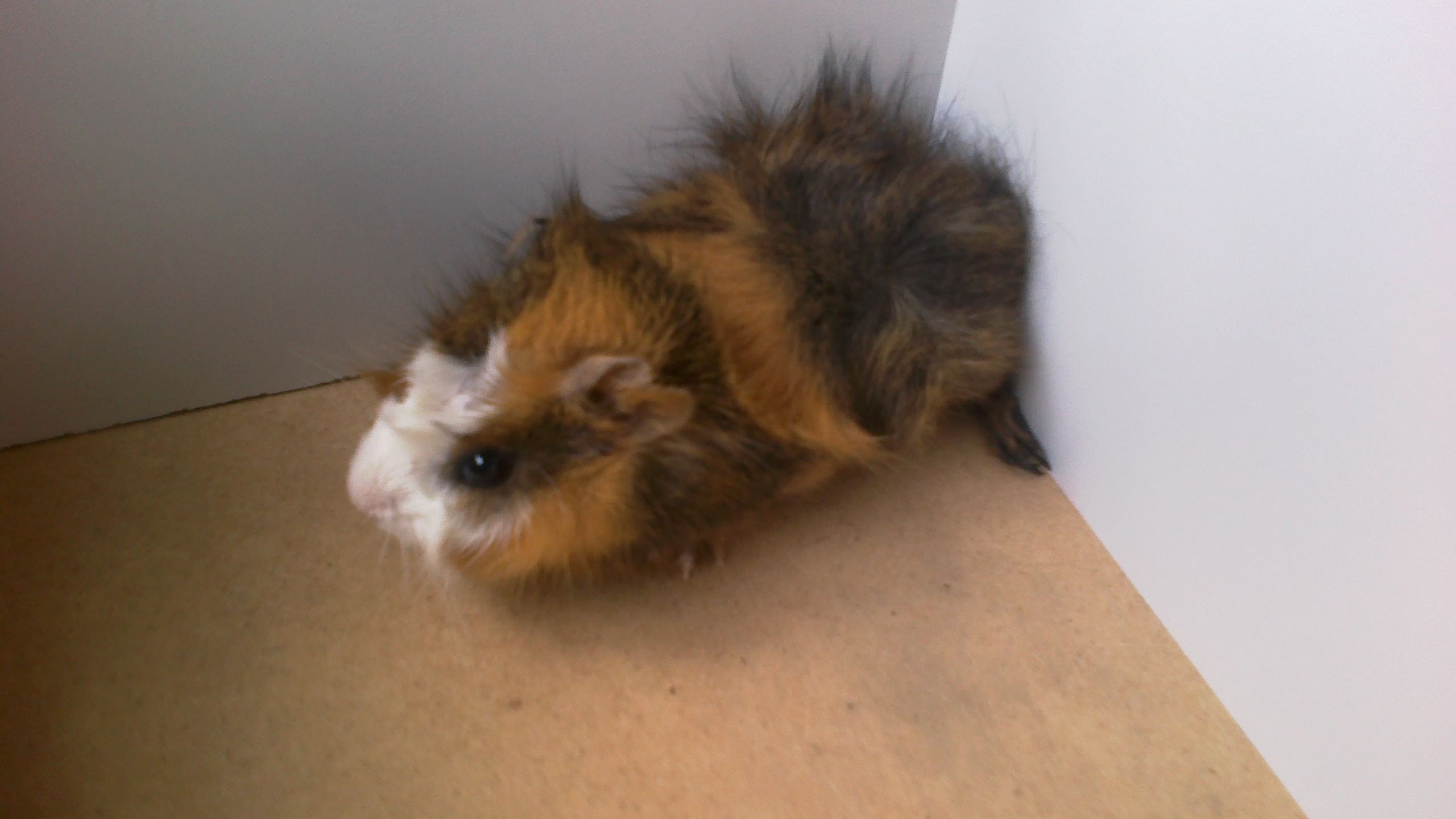 2014-07-12-1309