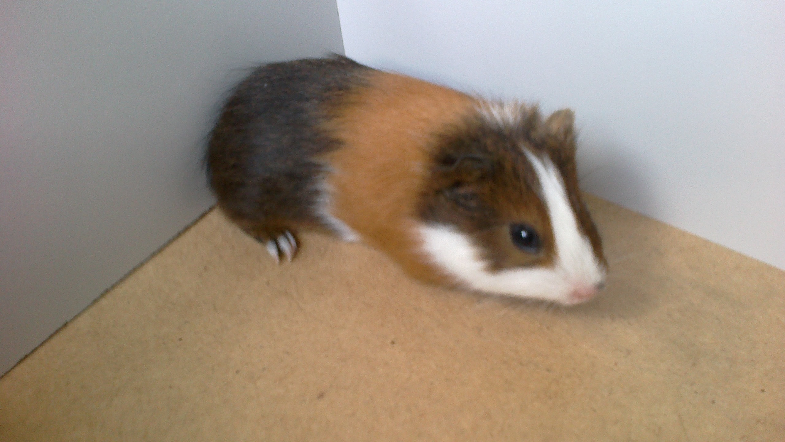 2014-07-12-1311